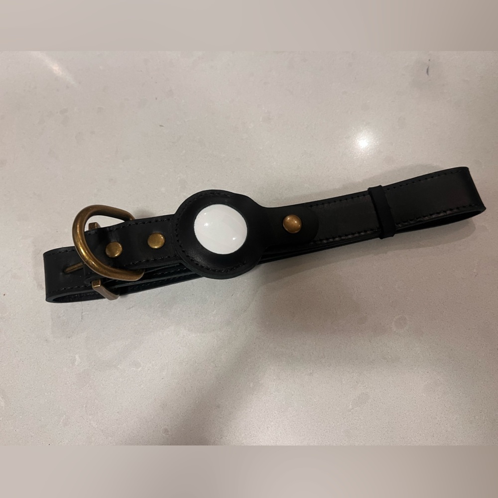 Dog collar with AirTag holder and AirTag